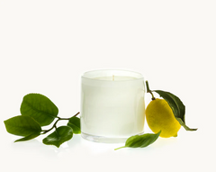 Heure du Thé Cylindre in 15oz from Alixx Candles