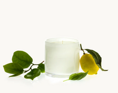 Heure du Thé Cylindre in 42oz from Alixx Candles